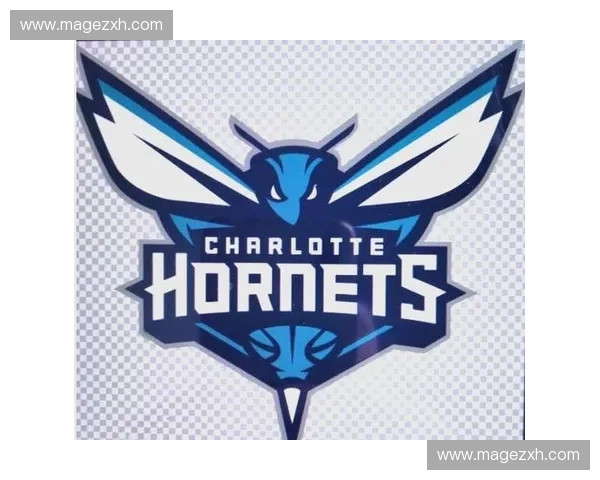 深入解析NBA三十支球队标志背后的设计理念与独特文化象征